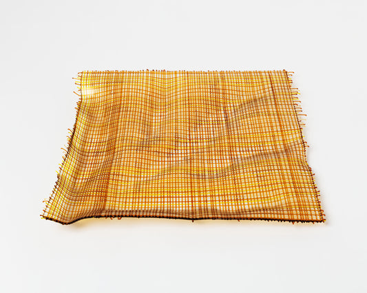 Jacqueline Jacobi - Tapestry In Motion